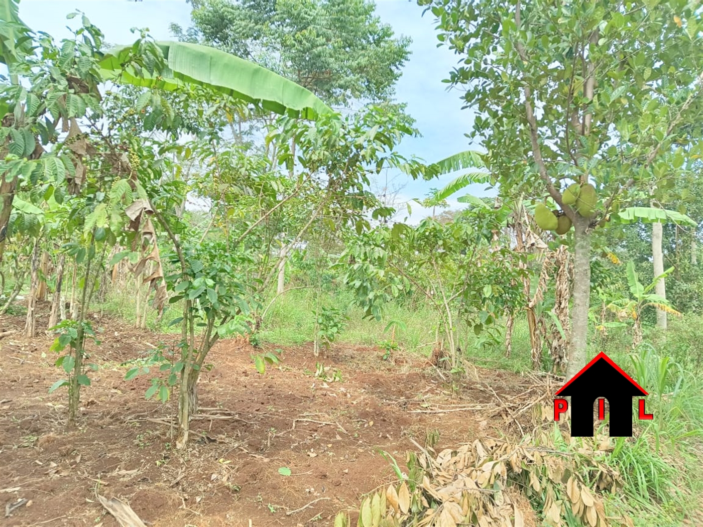 Commercial Land for sale in Katosi Kayunga