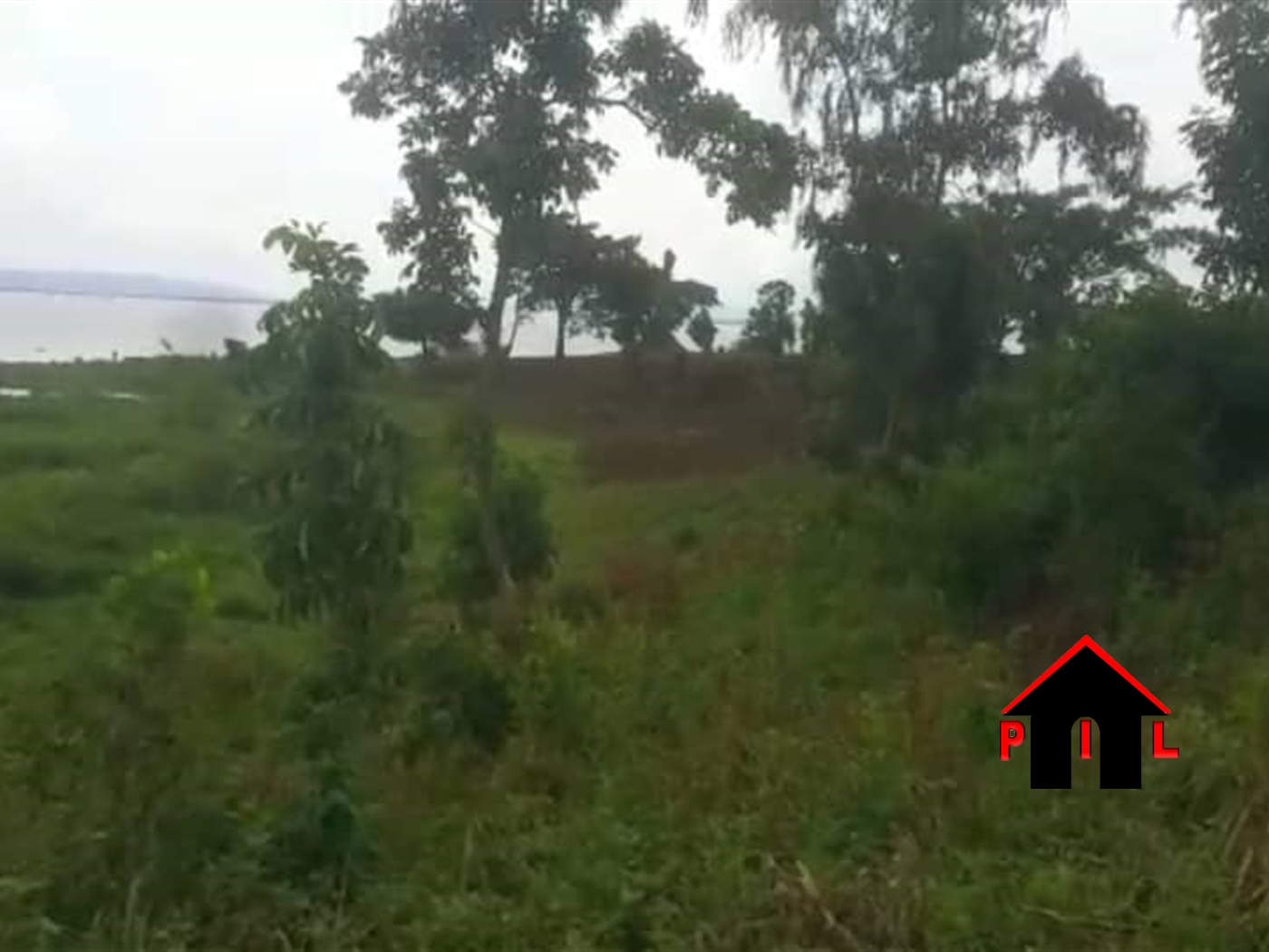 Agricultural Land for sale in Kikondo Buyikwe