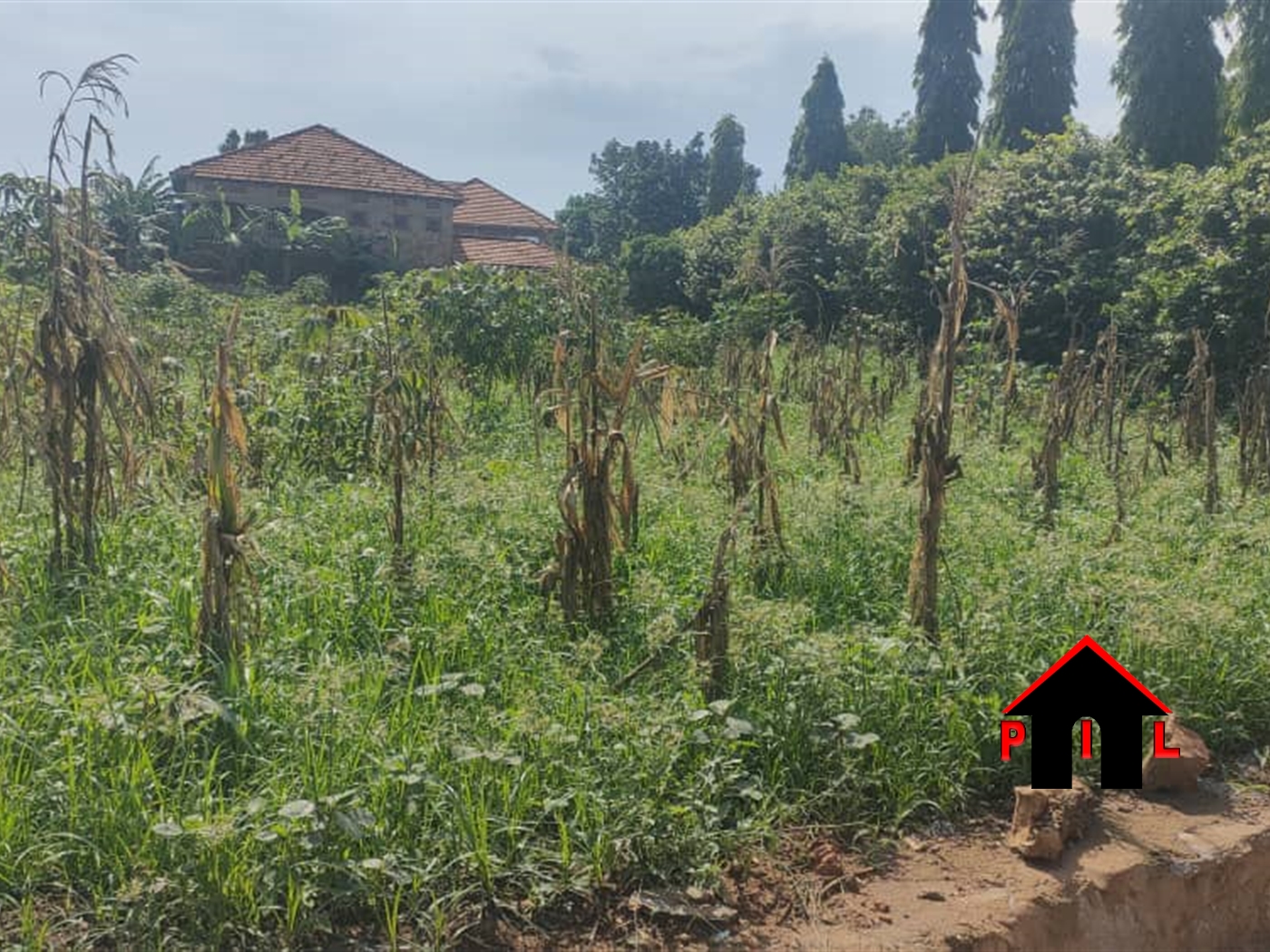 Residential Land for sale in Muyenga Kampala