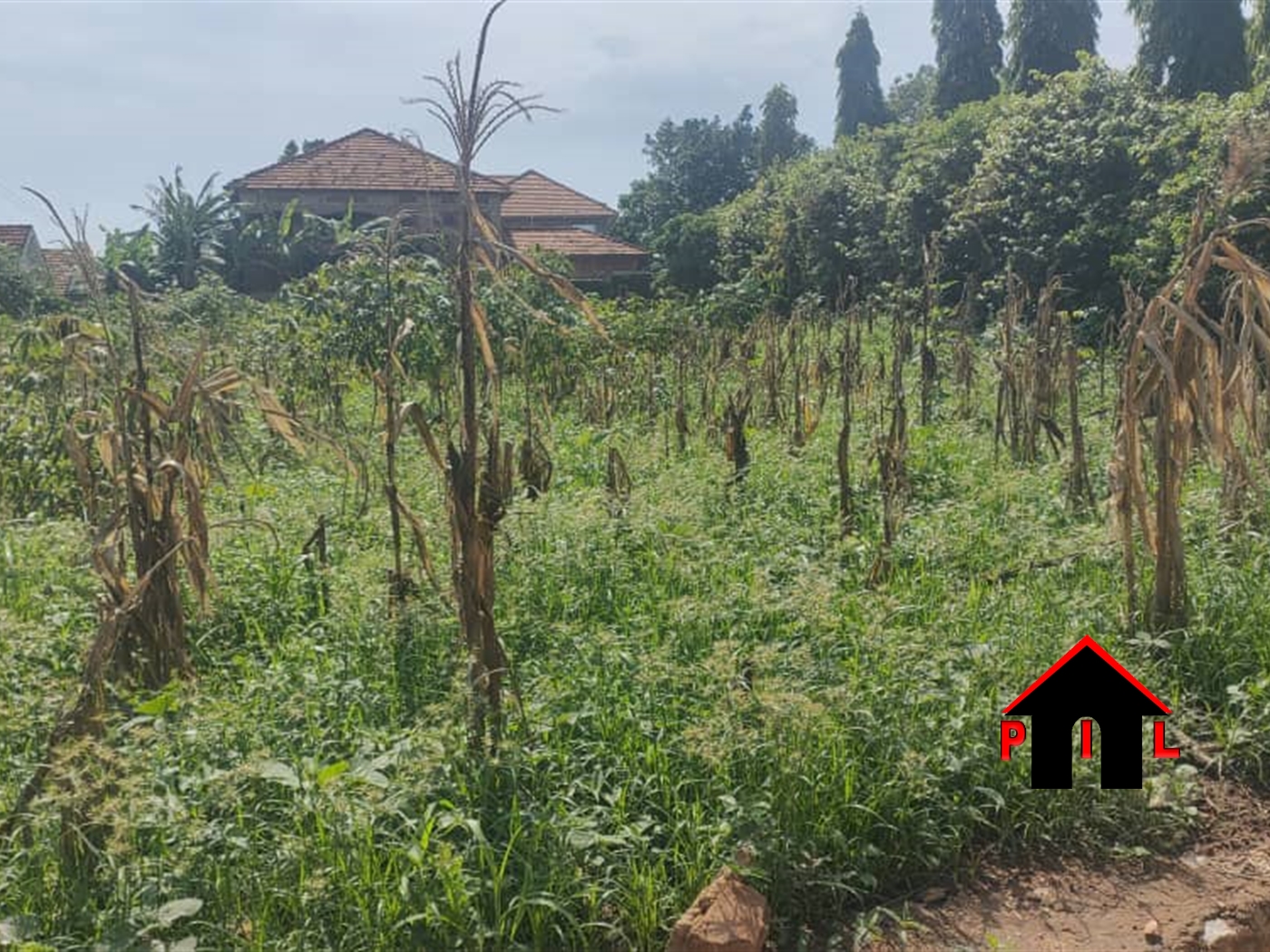 Residential Land for sale in Muyenga Kampala