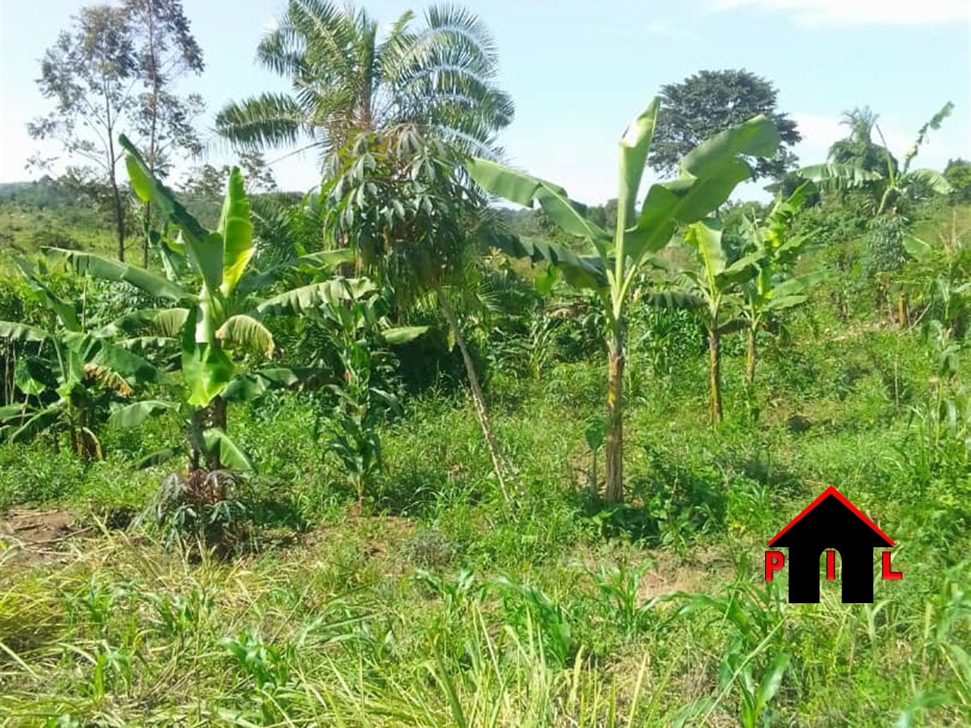 Agricultural Land for sale in Kitawonga Wakiso