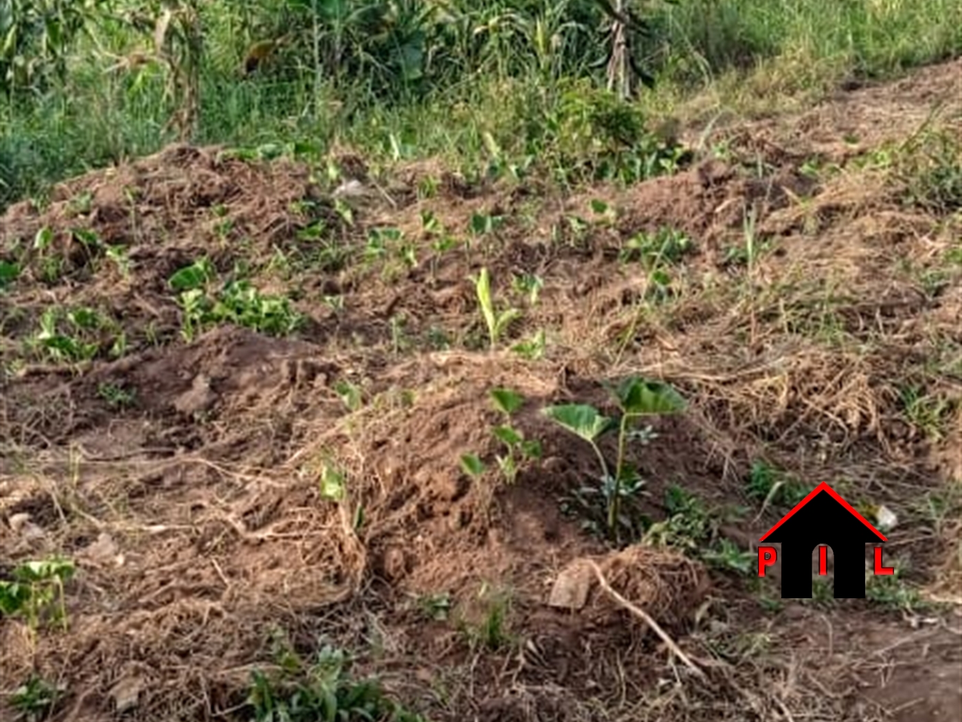 Residential Land for sale in Matugga Wakiso