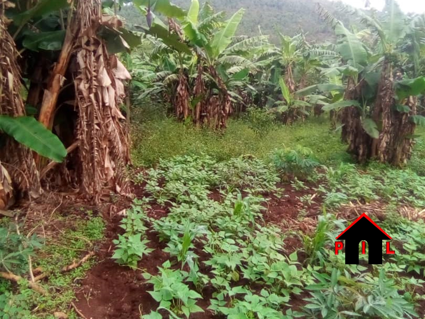 Agricultural Land for sale in Matugga Wakiso