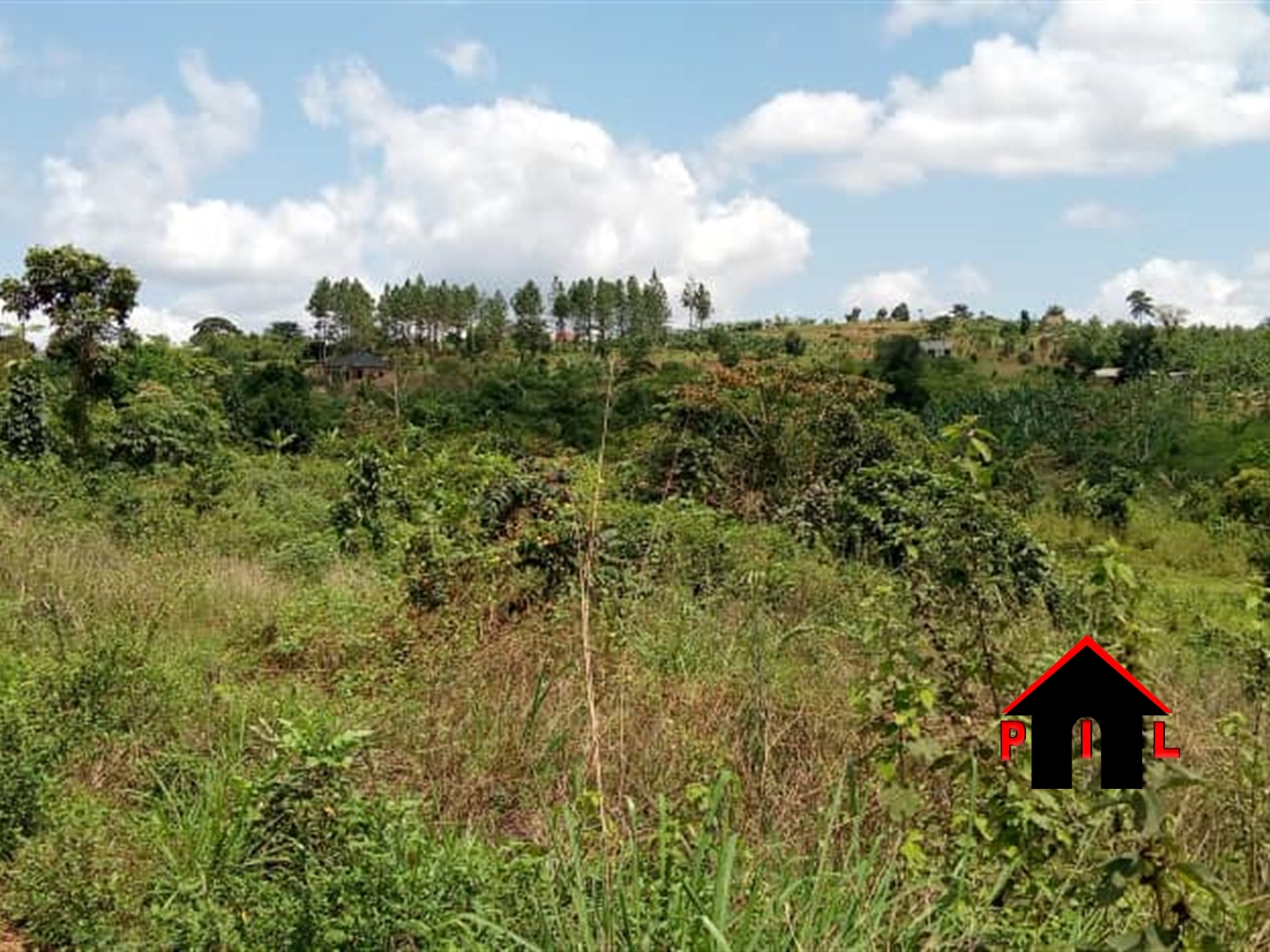Farm for sale in Kiwumu Wakiso