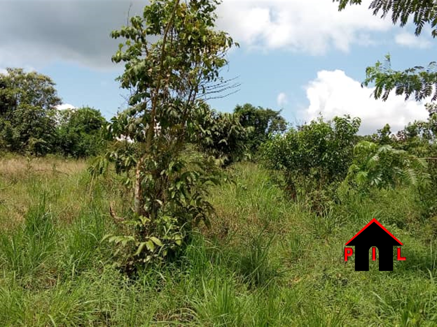 Farm for sale in Kiwumu Wakiso