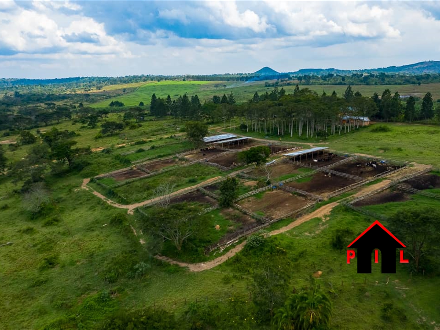 Farm for sale in Buswa Mubende