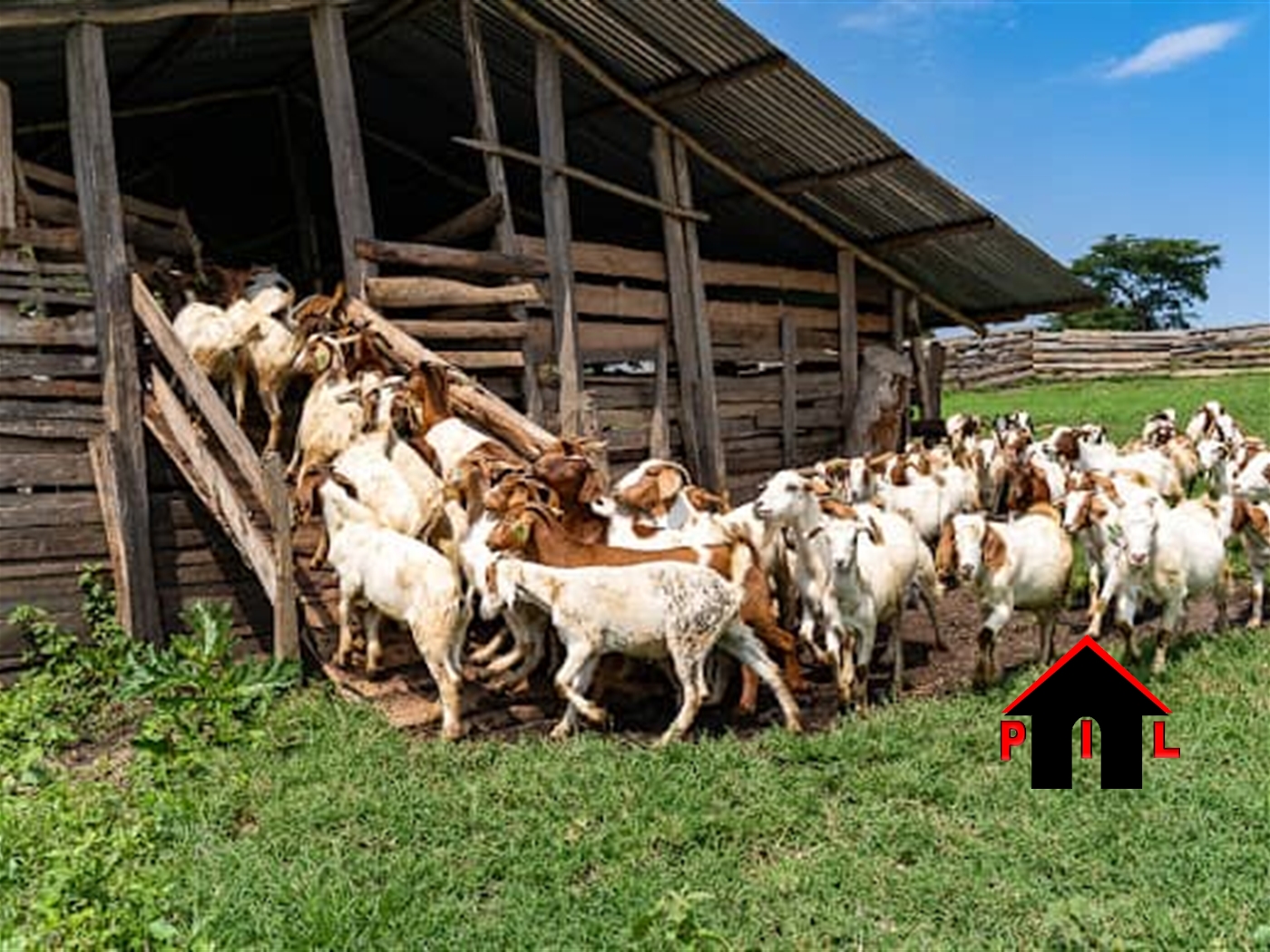 Farm for sale in Buswa Mubende