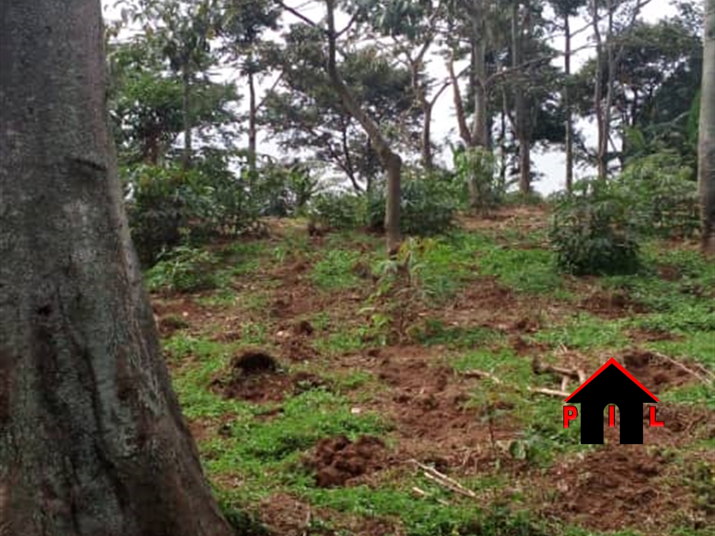 Commercial Land for sale in Kiwuule Wakiso