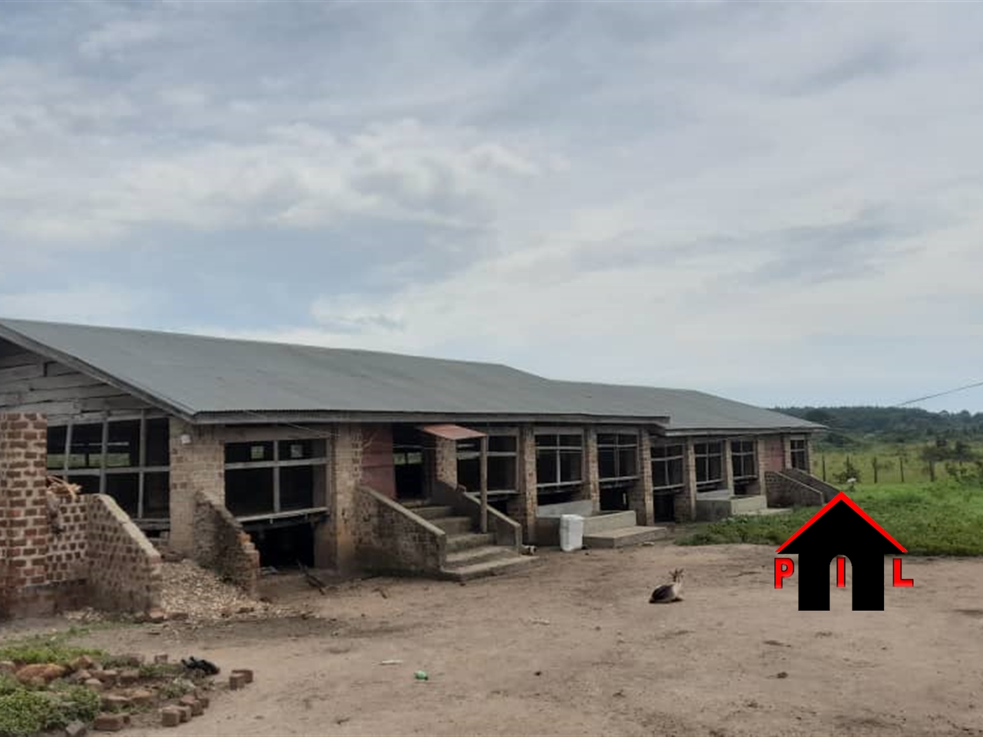 Farm for rent in Kito Luweero