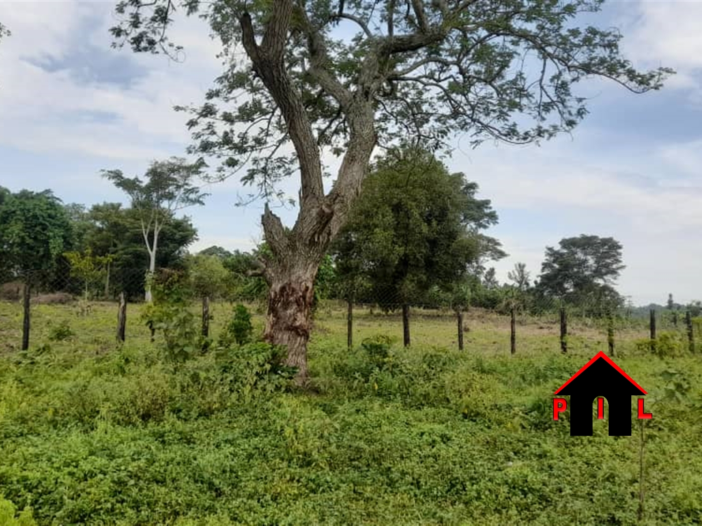 Farm for rent in Kito Luwero