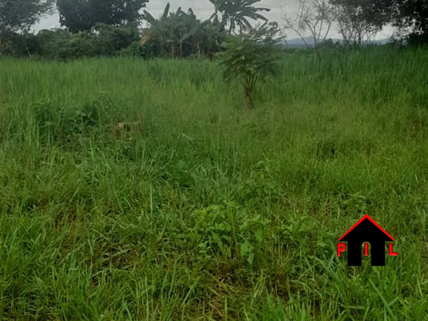 Agricultural Land for sale in Butuntumula Luwero