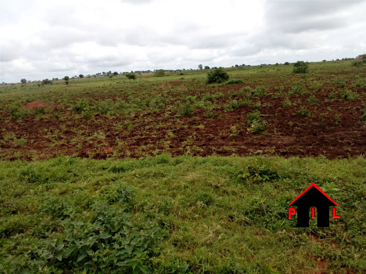 Farm for sale in Kibanga Mpigi