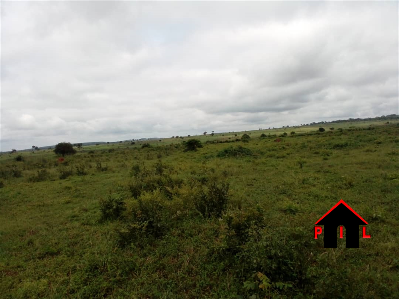 Farm for sale in Kibanga Mpigi