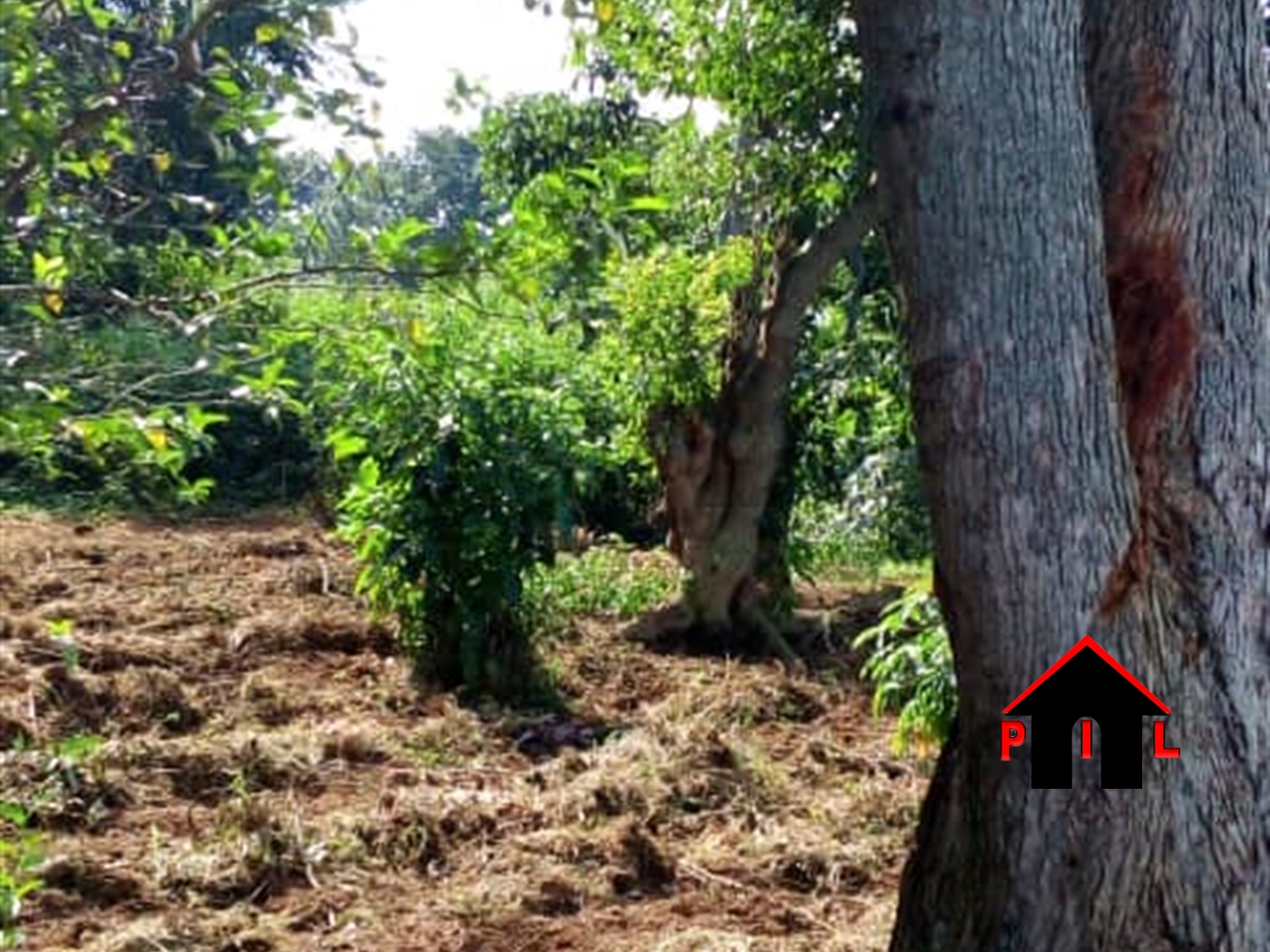 Commercial Land for sale in Entebbe Wakiso