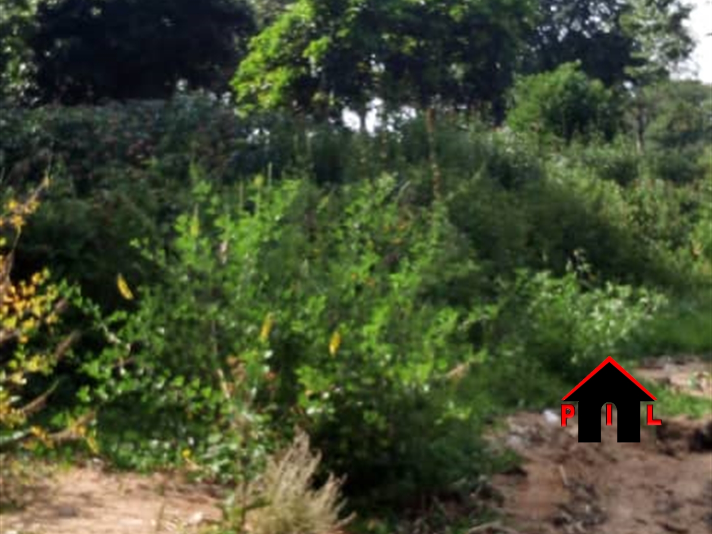 Commercial Land for sale in Entebbe Wakiso