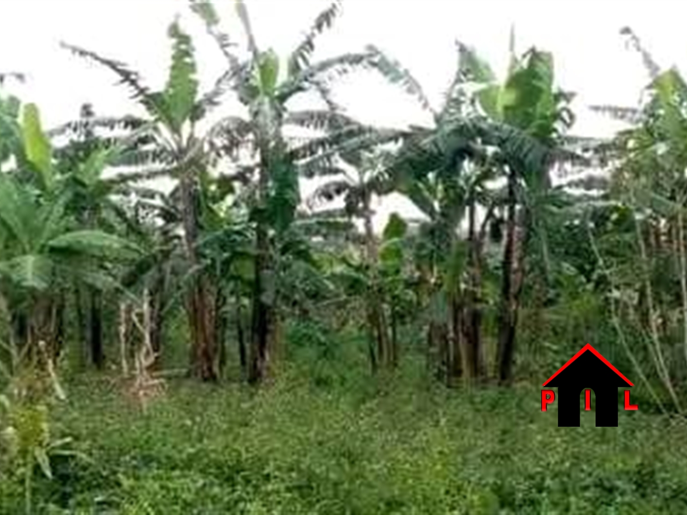 Residential Land for sale in Kiwebwa Wakiso