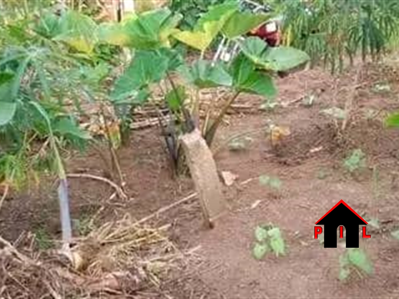 Residential Land for sale in Kiwebwa Wakiso