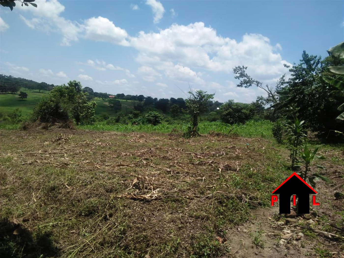 Commercial Land for sale in Busunjju Mityana