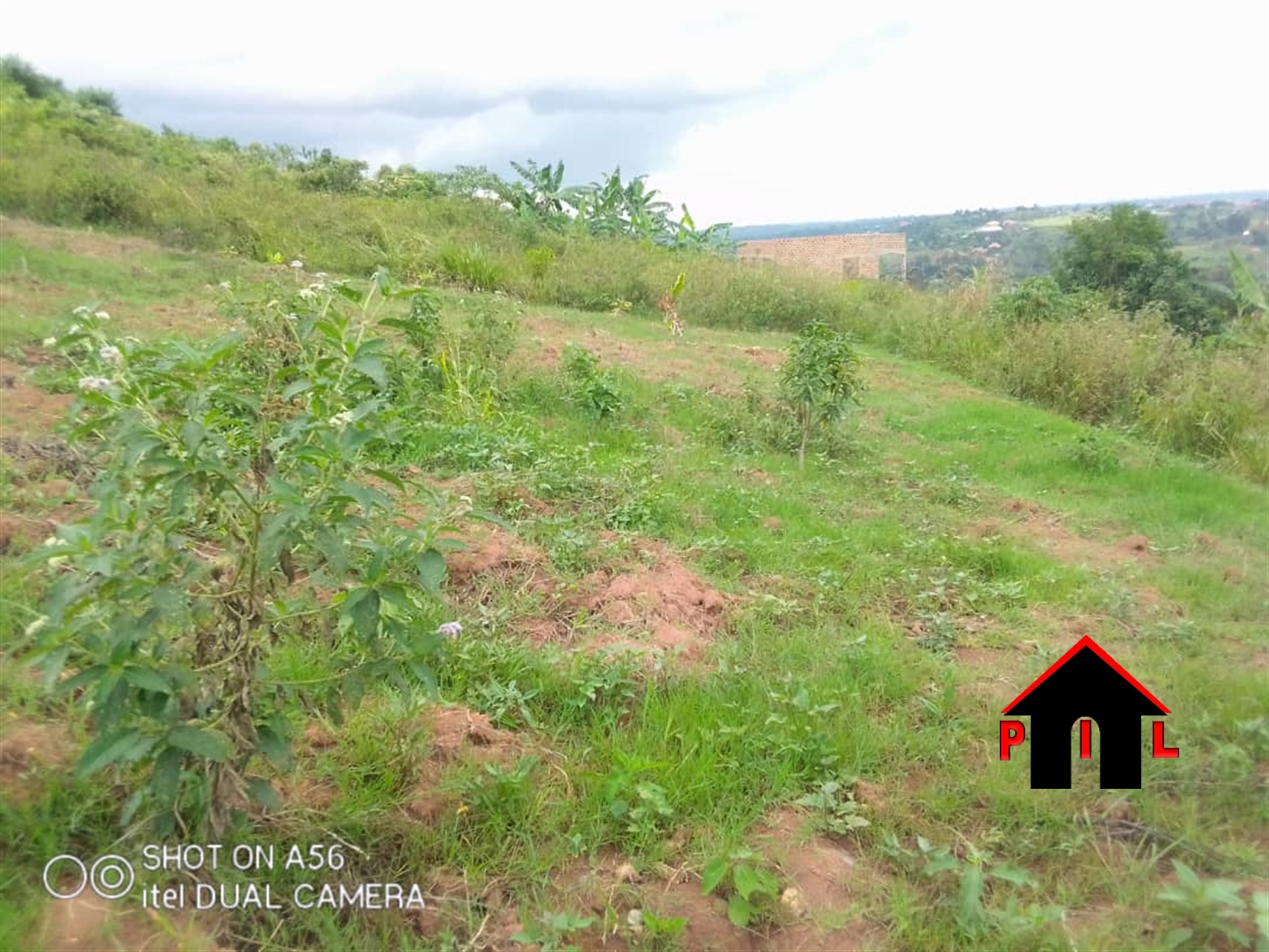 Commercial Land for sale in Jjungo Wakiso