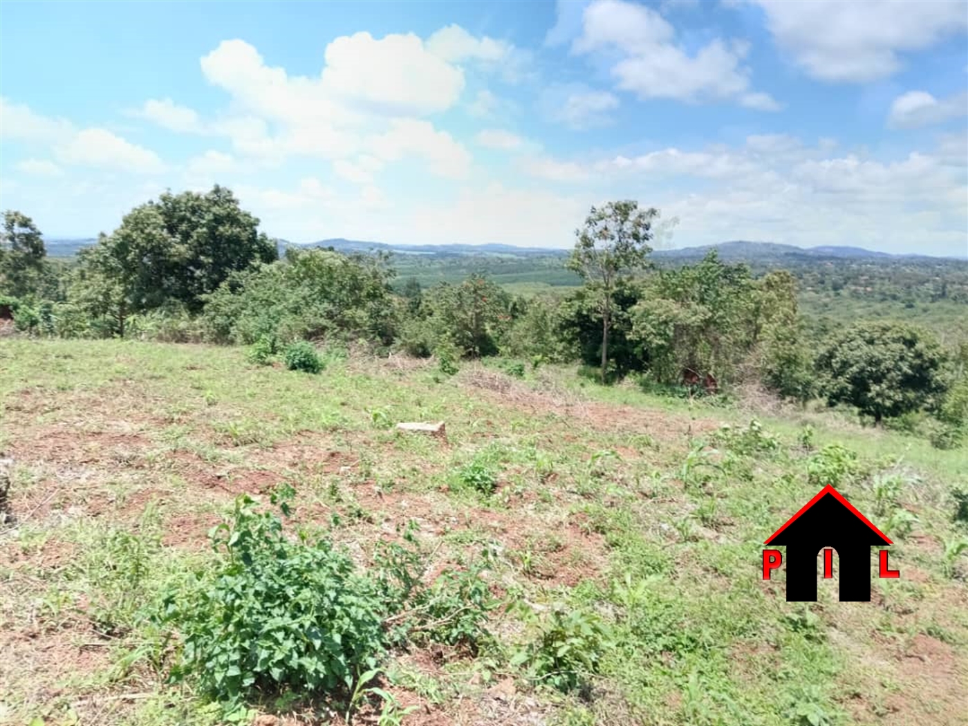 Agricultural Land for sale in Nkokonjeru Mukono