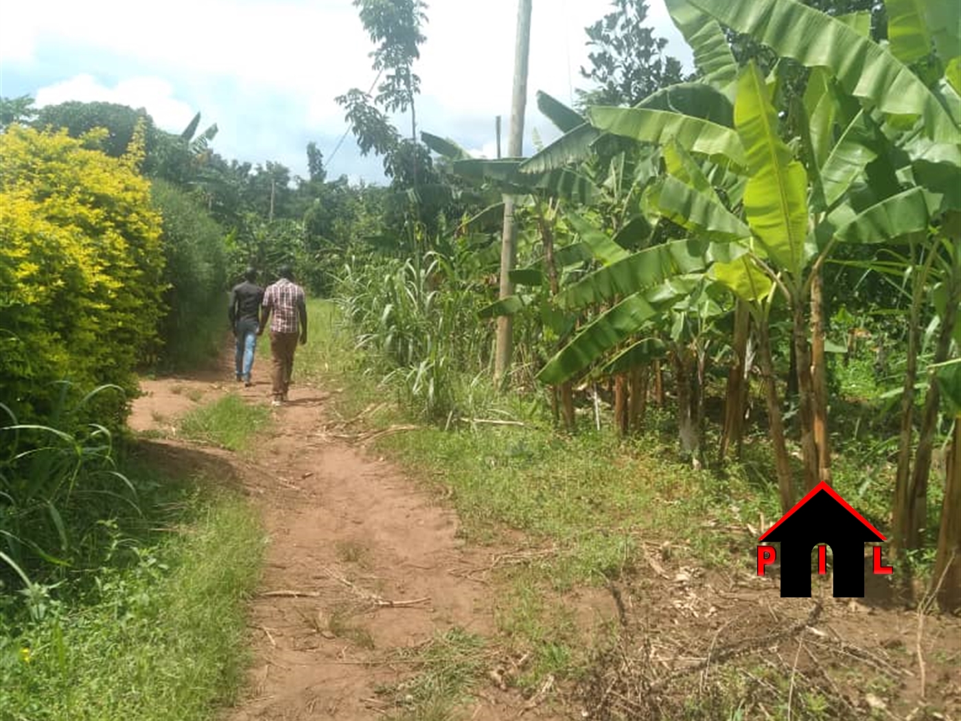 Commercial Land for sale in Busiika Mpigi