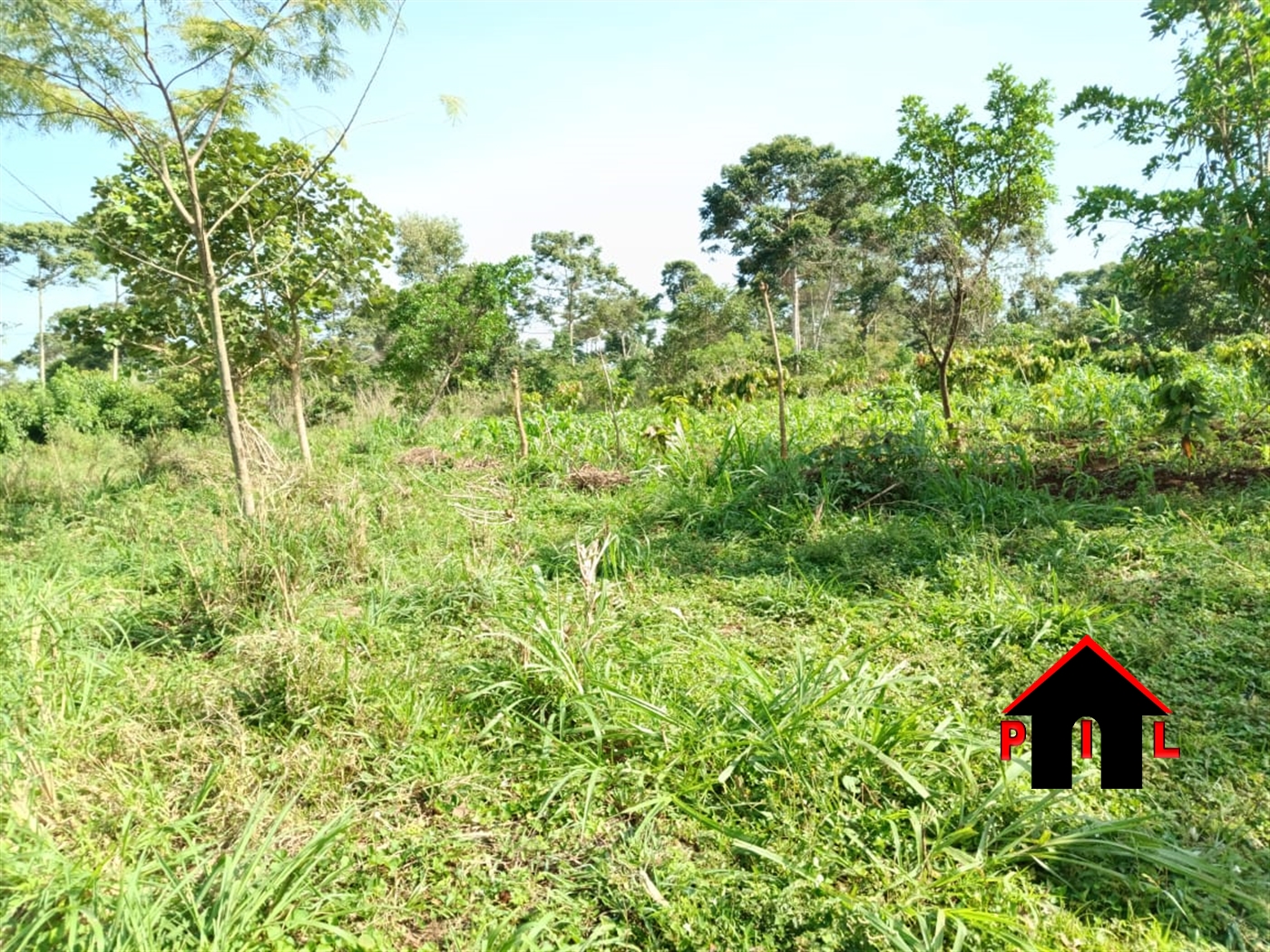 Commercial Land for sale in Nsanja Mukono