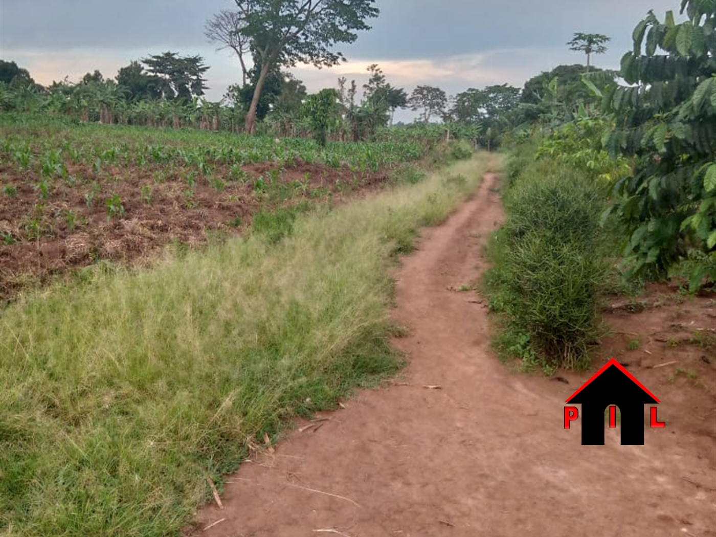 Commercial Land for sale in Ssanga Kiruhura