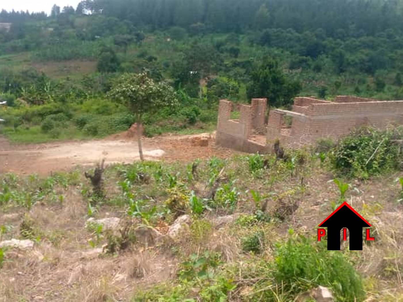 Commercial Land for sale in Bombo Luweero