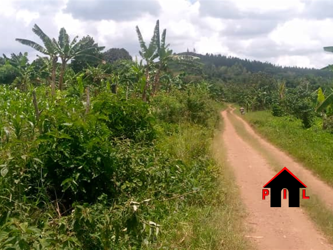 Commercial Land for sale in Bombo Luweero