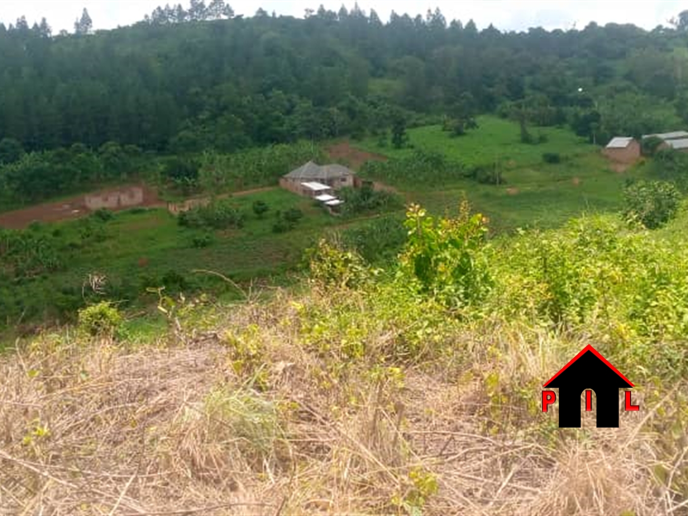 Commercial Land for sale in Bombo Luweero