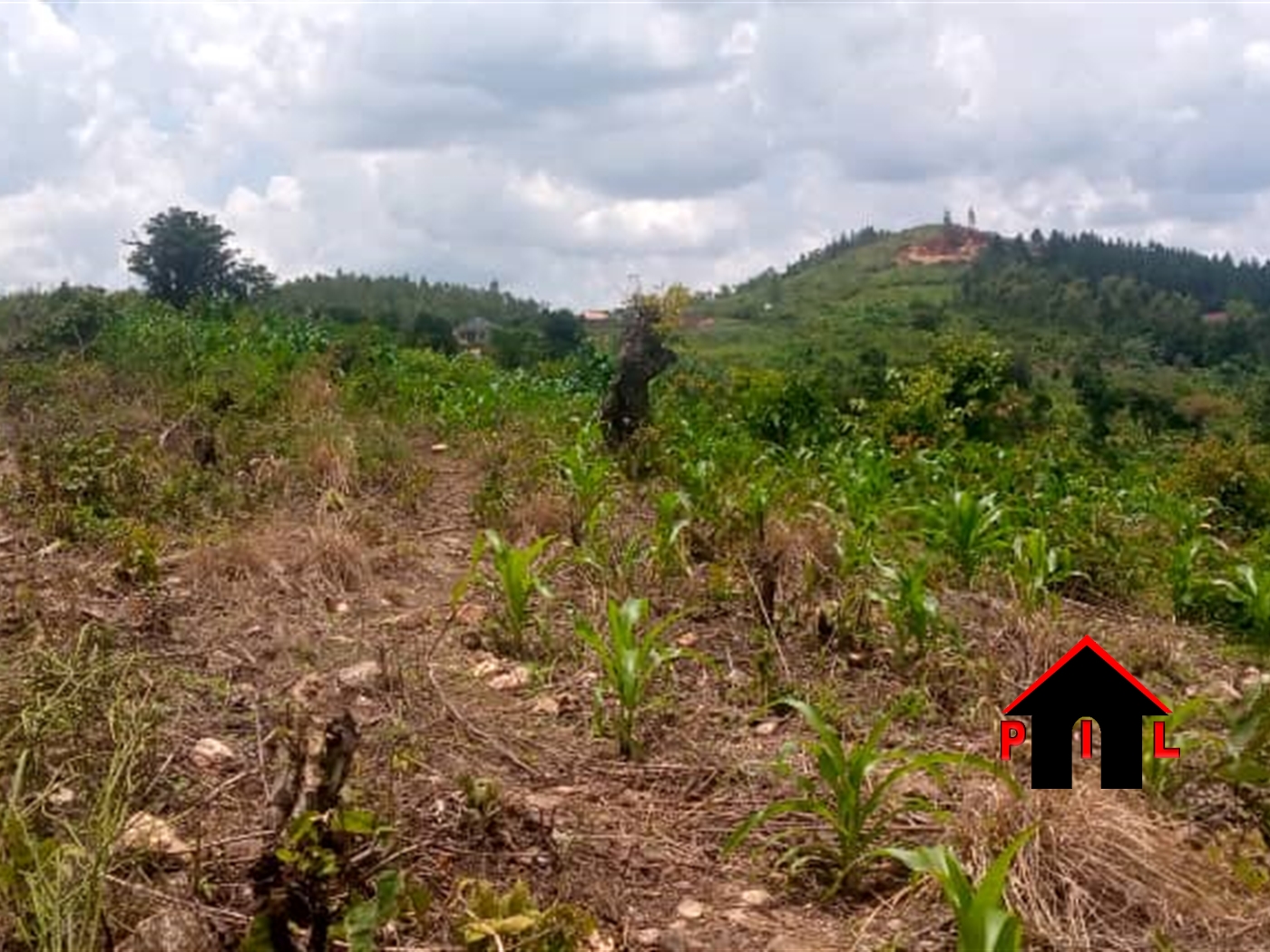 Commercial Land for sale in Bombo Luweero