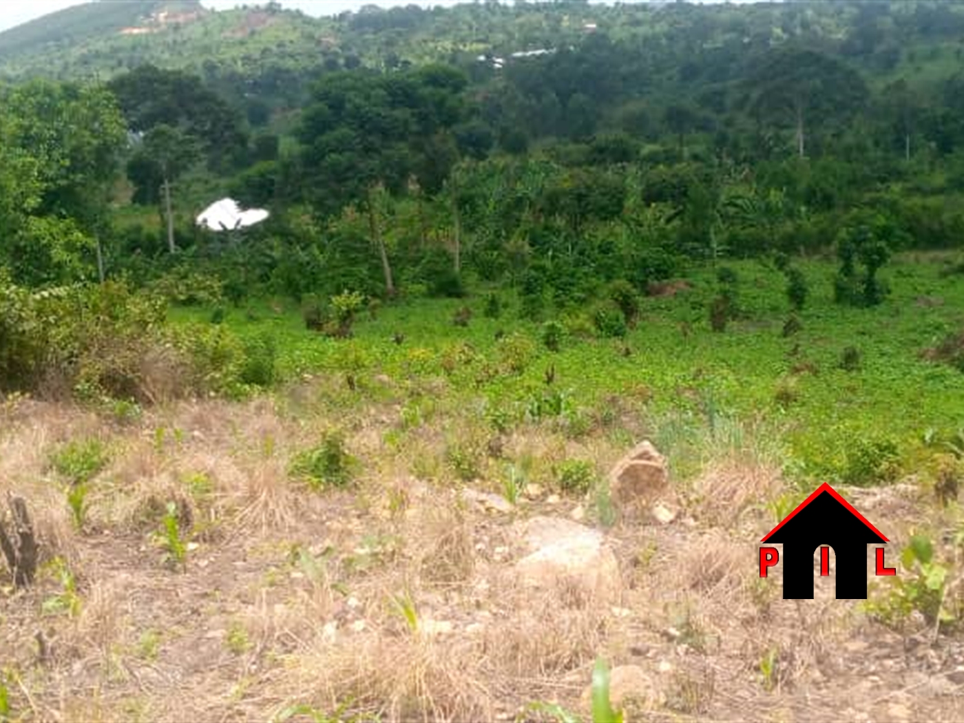 Commercial Land for sale in Bombo Luweero