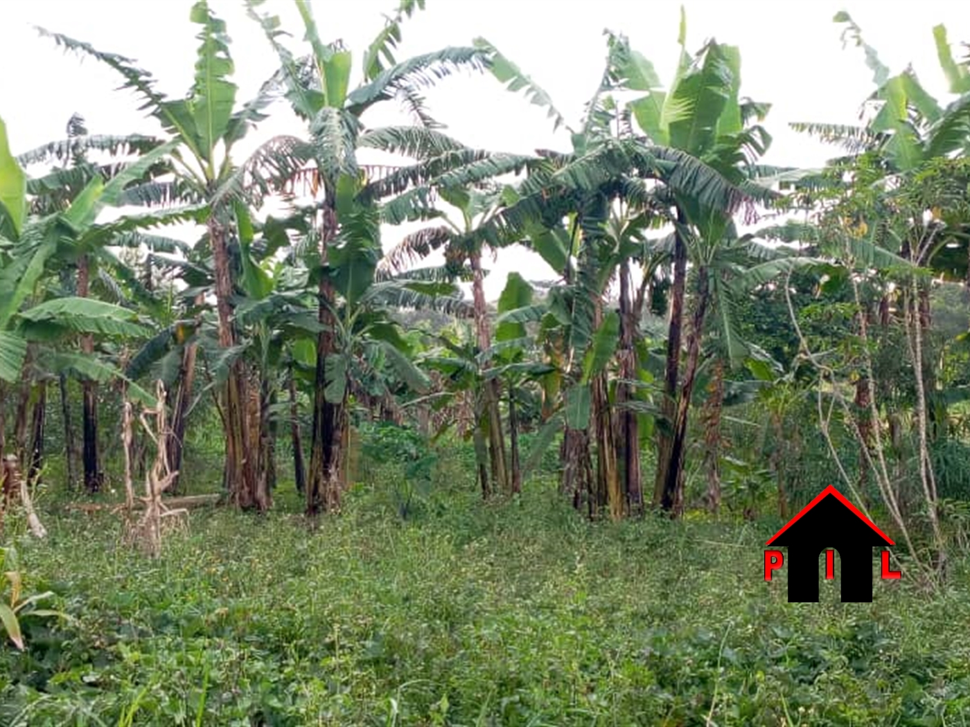 Residential Land for sale in Kiwebwa Wakiso