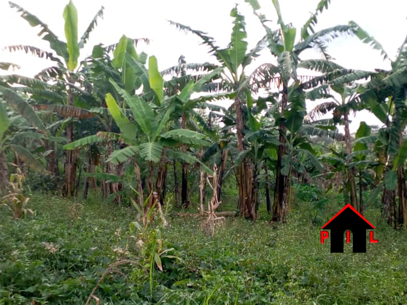 Residential Land for sale in Kiwebwa Wakiso