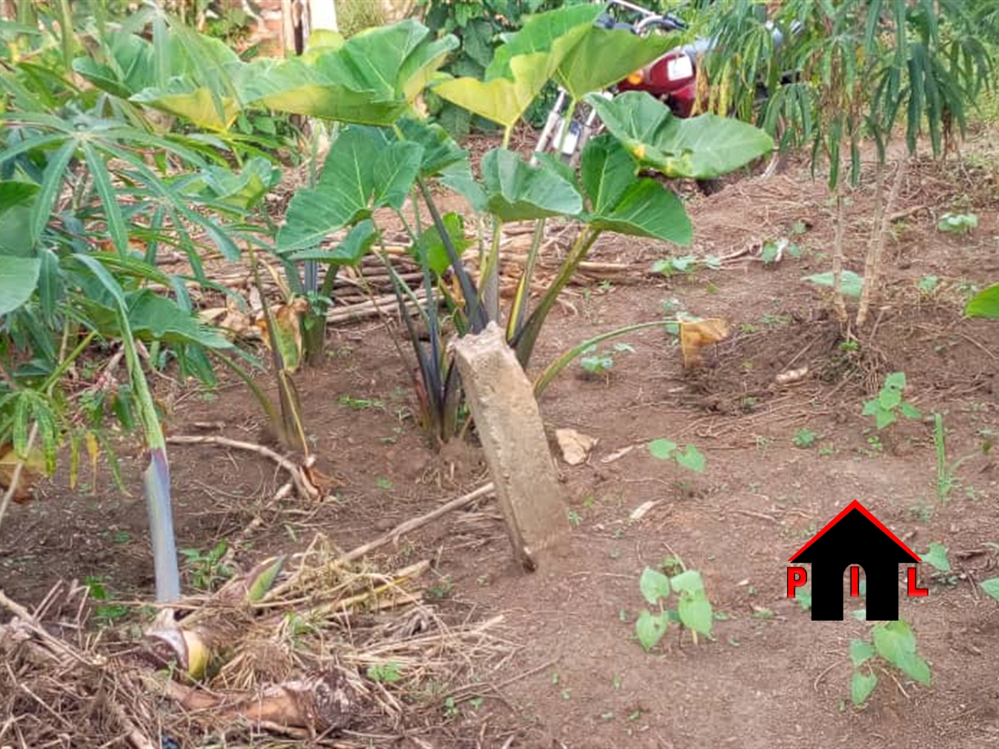 Residential Land for sale in Kiwebwa Wakiso