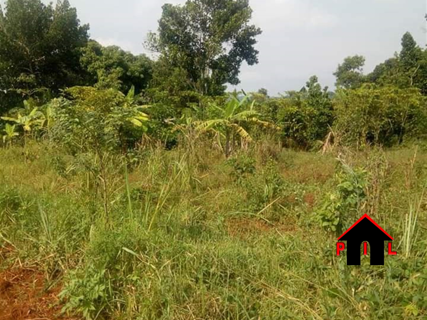 Residential Land for sale in Buvuma Luweero