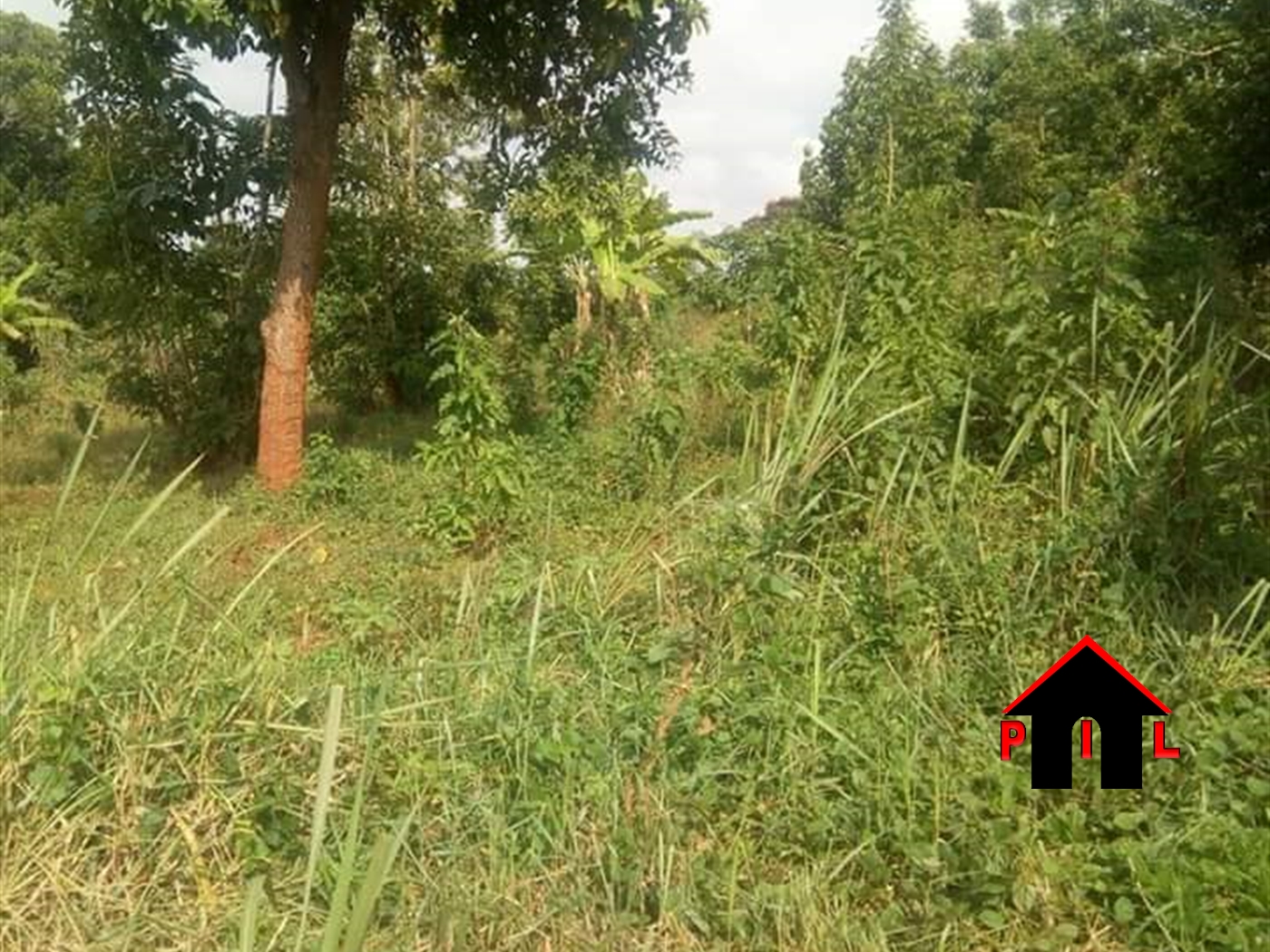 Residential Land for sale in Buvuma Luweero