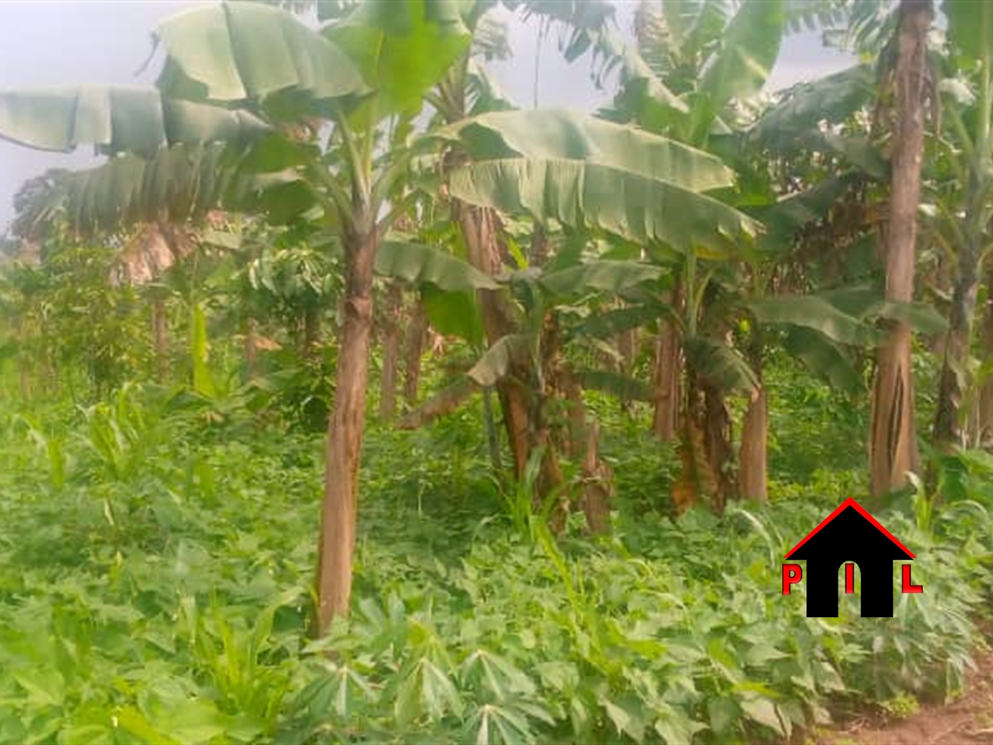 Residential Land for sale in Mbugu Wakiso