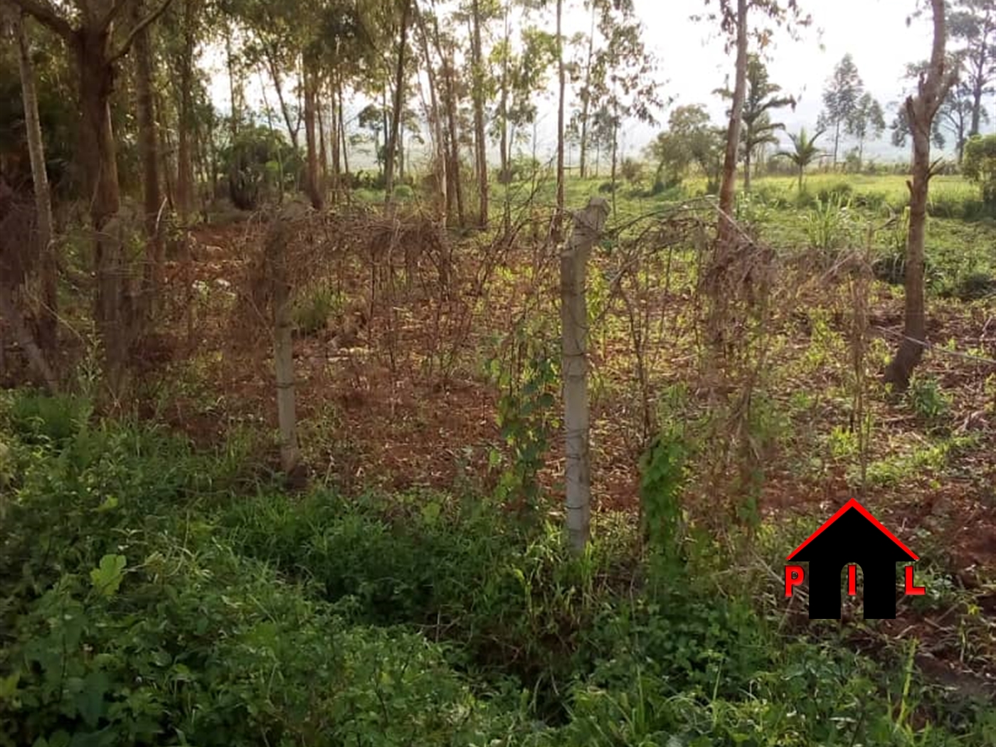 Agricultural Land for sale in Bulema Kiboga