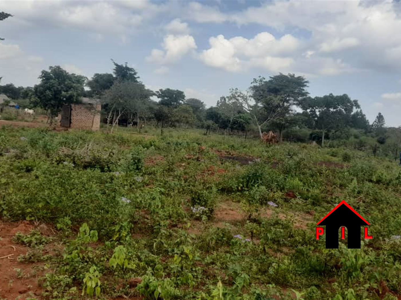 Commercial Land for sale in Katuugo Kaabong