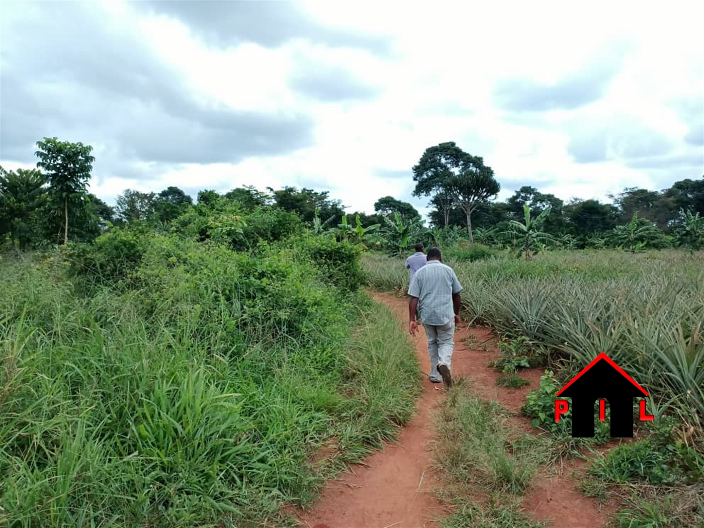 Commercial Land for sale in Wabuutogoro Luweero