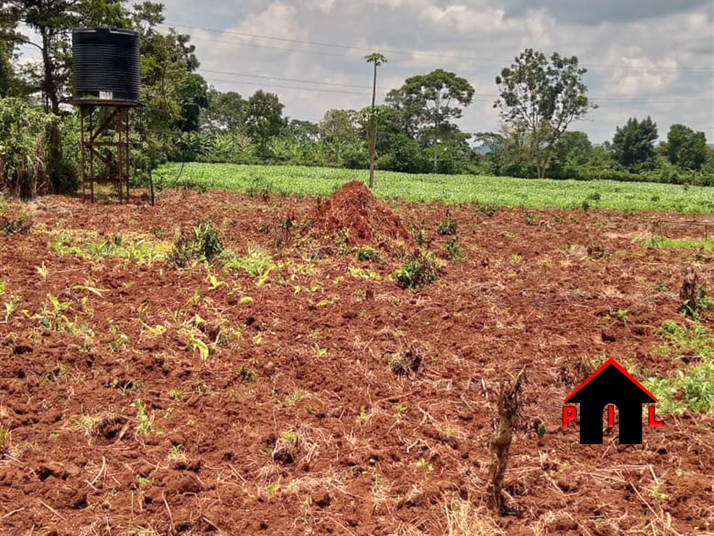 Commercial Land for sale in Kalule Luweero