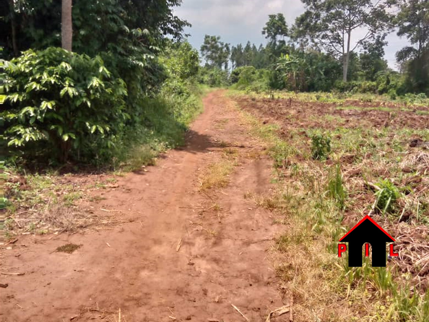 Commercial Land for sale in Kalule Luweero