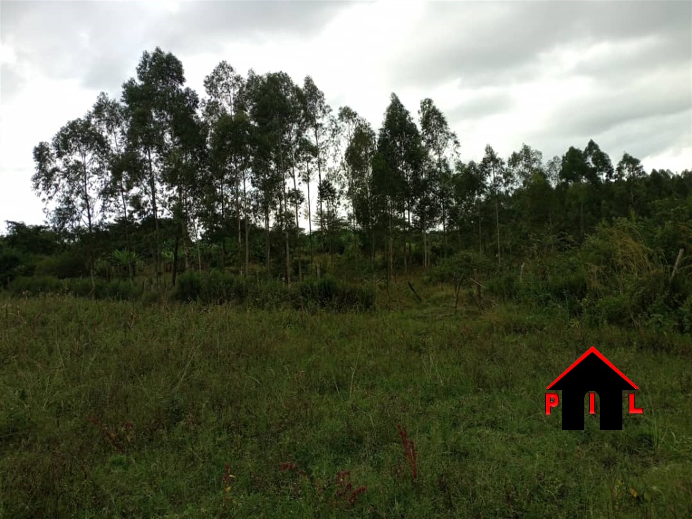 Commercial Land for sale in Wattuba Wakiso
