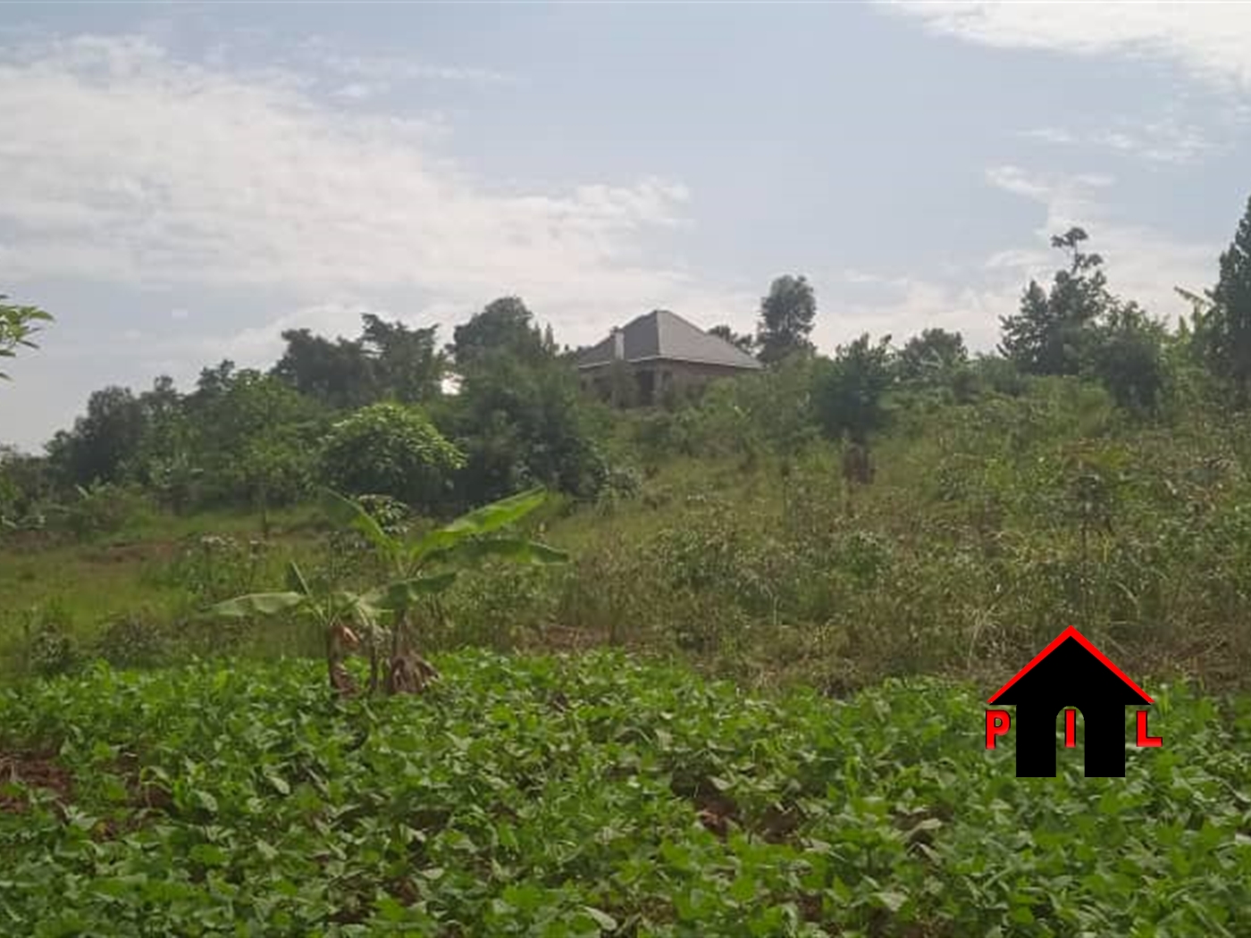 Residential Land for sale in Nkoowe Wakiso