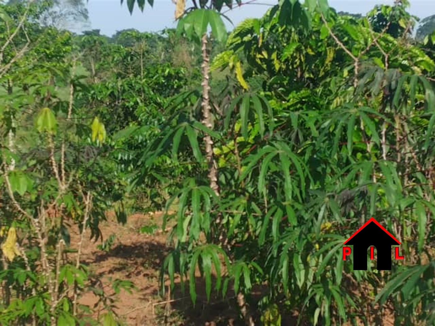 Commercial Land for sale in Sanvu Mukono