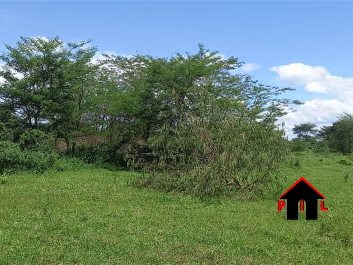 Agricultural Land for sale in Butula Rakai