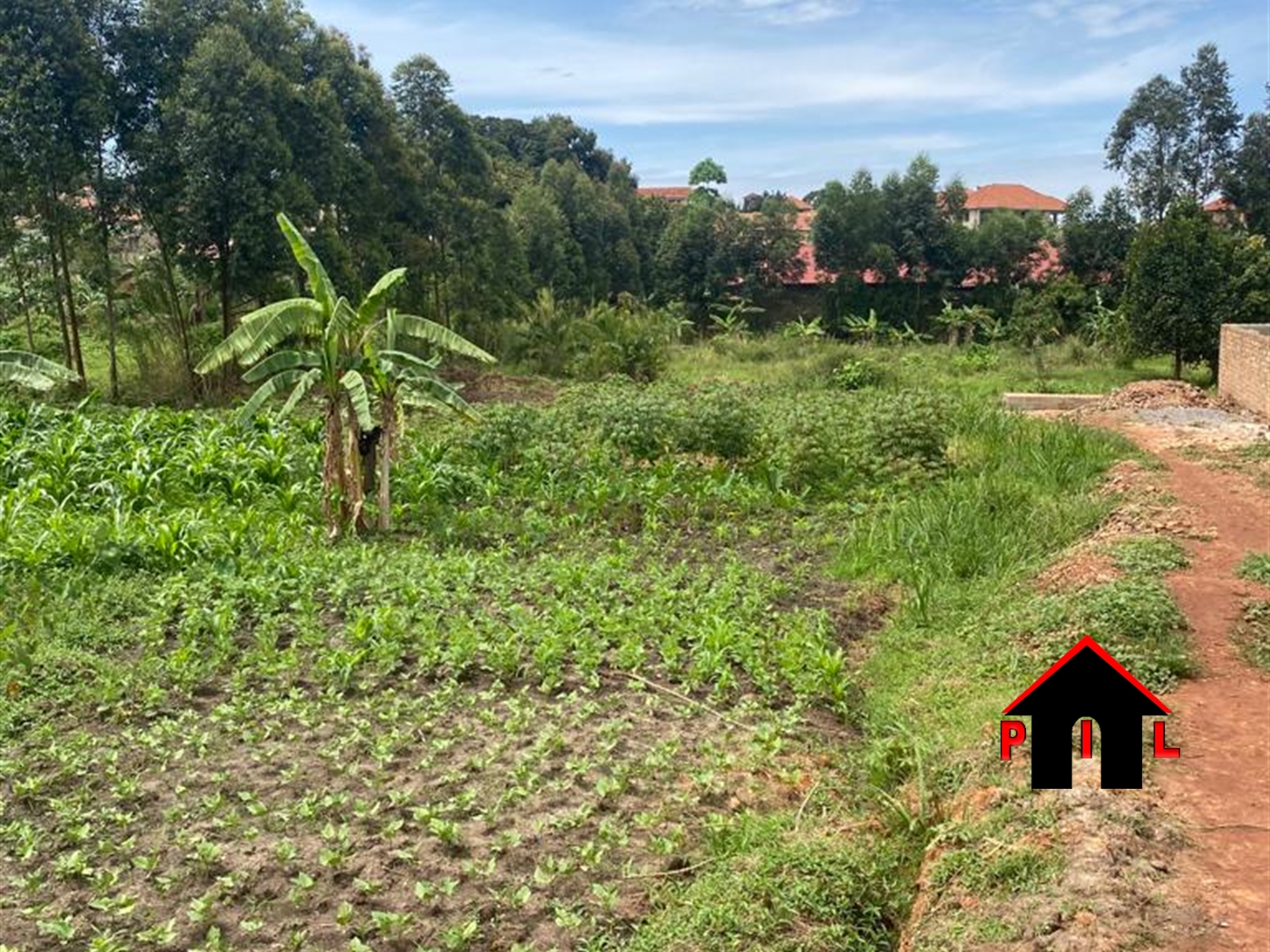 Residential Land for sale in Kisaasi Kampala