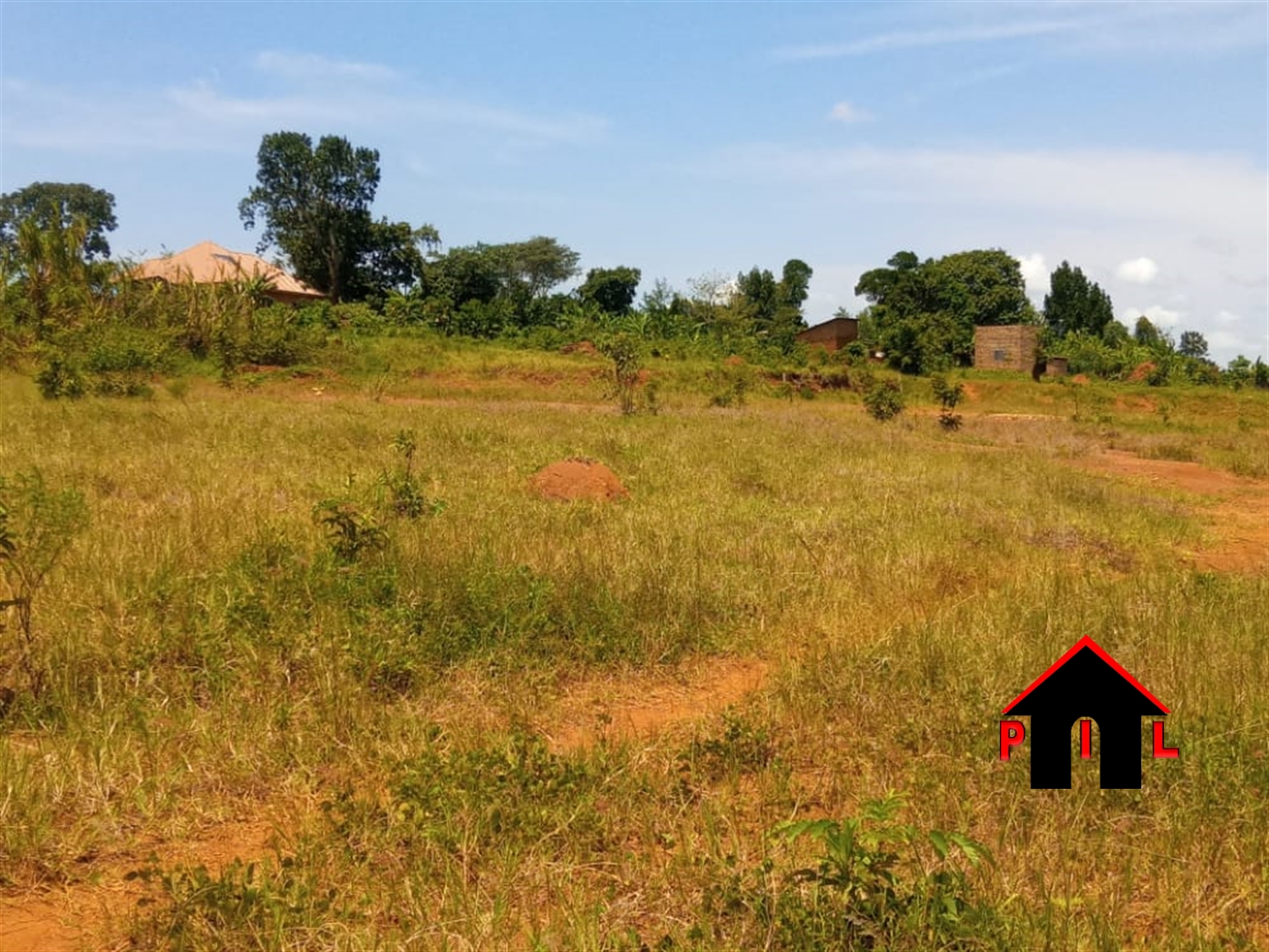 Residential Land for sale in Namulonge Wakiso