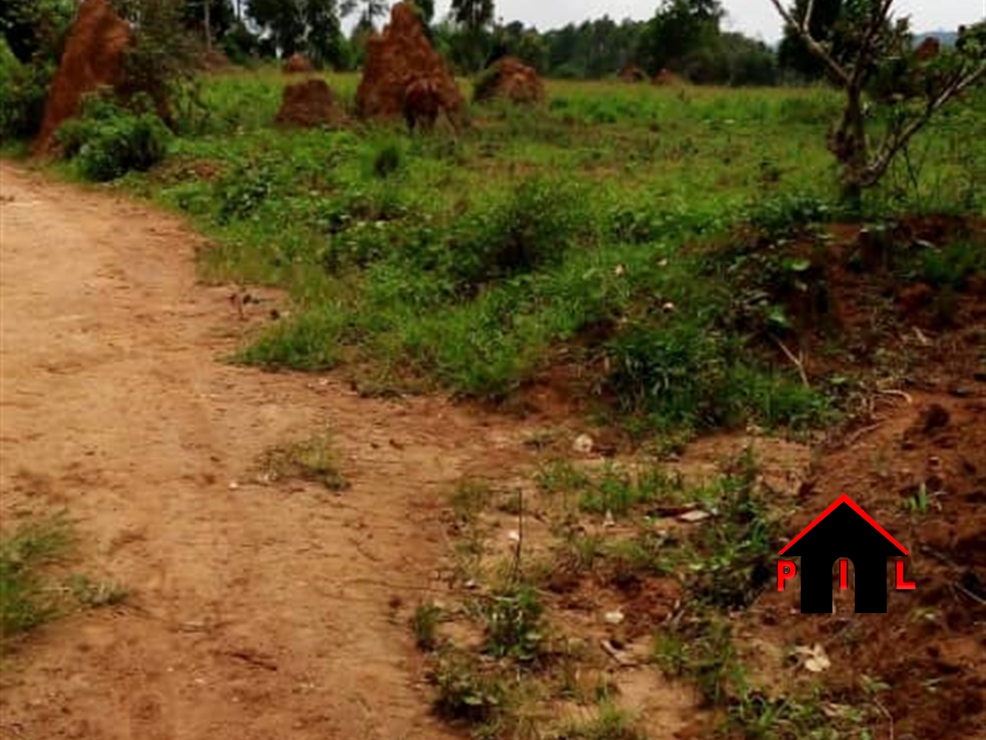 Agricultural Land for sale in Bubebele Wakiso